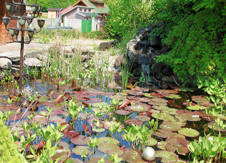 Gartenteiche Garten Fockenberg