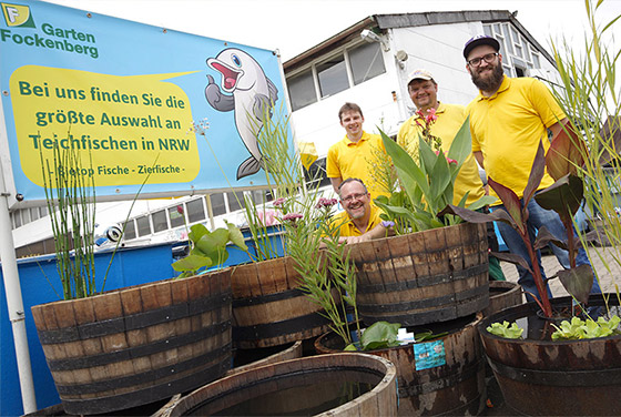 Team Gartenteiche - Garten Fockenberg