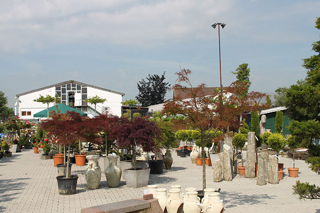 Bildergalerie Garten & Freizeit Garten Fockenberg